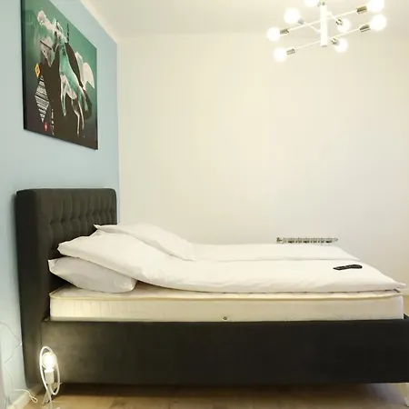 Blue And Rose Cozy - Quiet In The Location - Self Check-in - 5th Floor With Elevator Апартаменти Сараєво